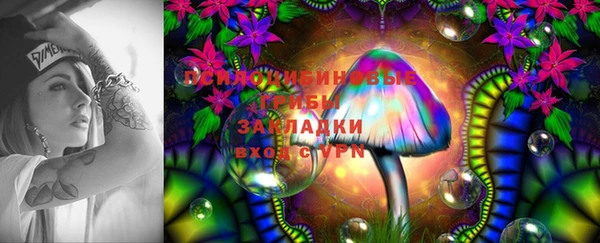 дурь Абинск
