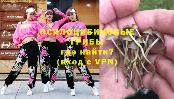 каннабис Абаза