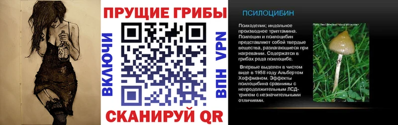Псилоцибиновые грибы Psilocybine cubensis  kraken маркетплейс  Холм 